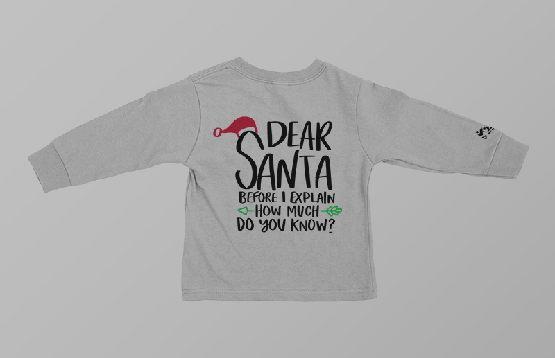 Dear Santa Youth TShirt