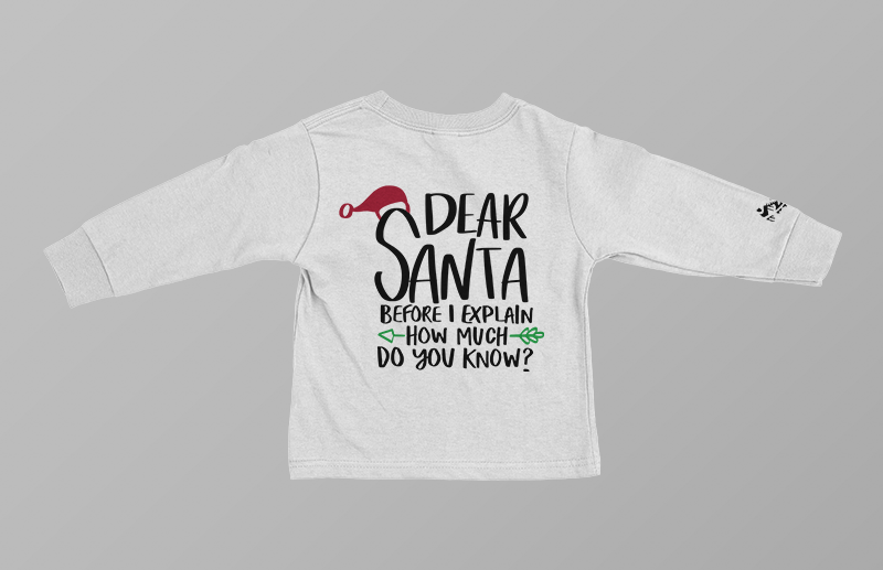 Dear Santa Youth TShirt